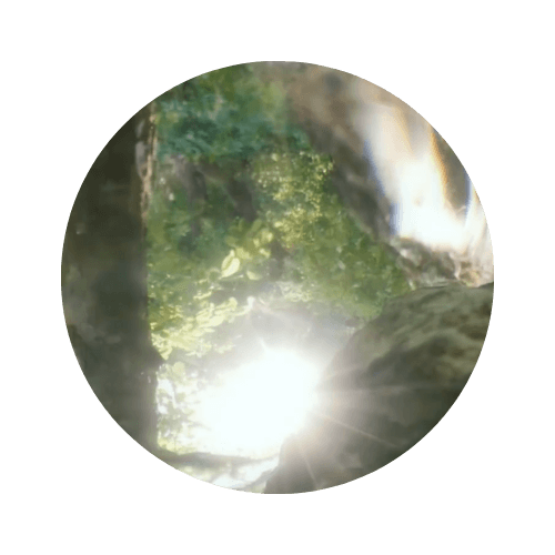 Growth and protection crystal Jewelry